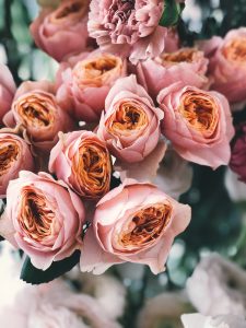 Fleurs